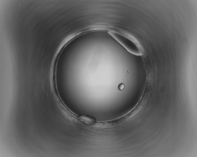 X0000112731146200908271423