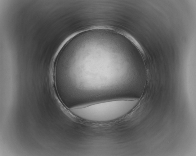 X0000112731148200908271423