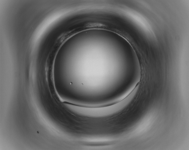 X0000112731151200908271423