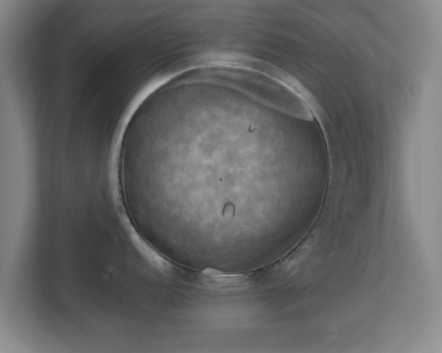 X0000112731152200908271423