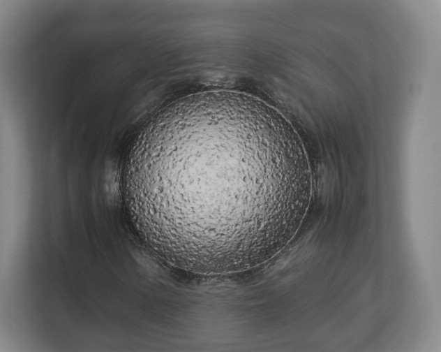 X0000112731154200908271422