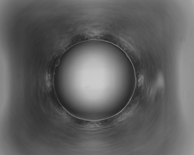 X0000112731156200908271422