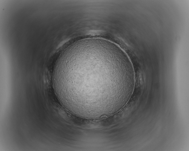 X0000112731158200908271422