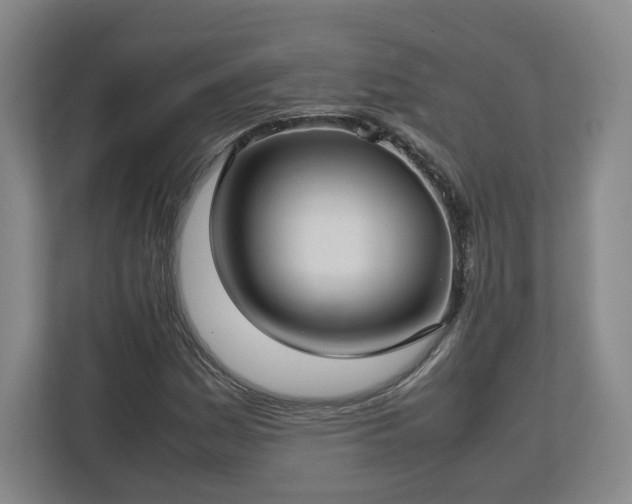 X0000112731161200908271422