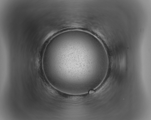 X0000112731163200908271422