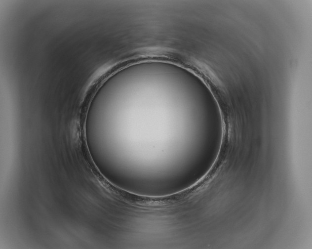 X0000112731164200908271422