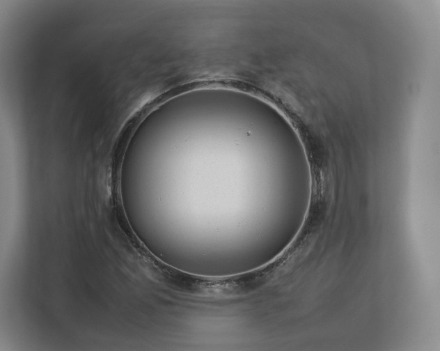 X0000112731165200908271422