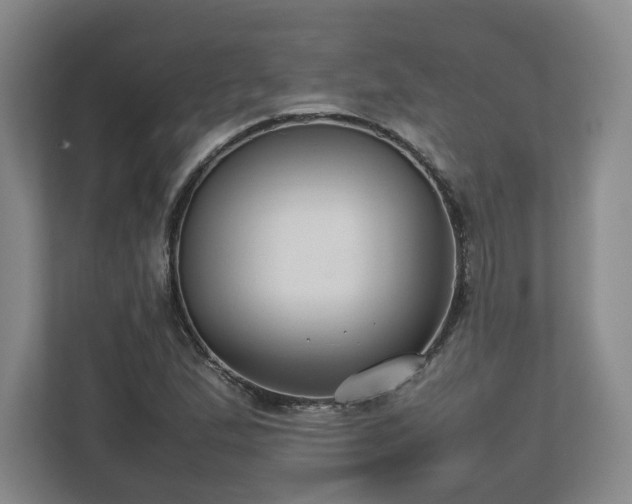 X0000112731167200908271422