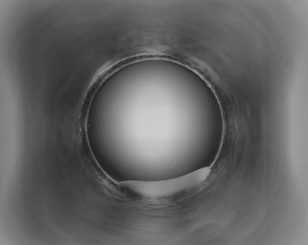 X0000112731168200908271422