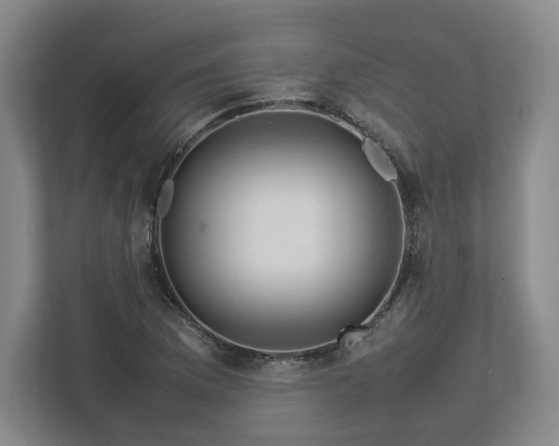 X0000112731169200908271422