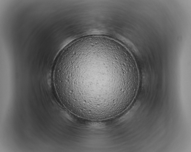 X0000112731170200908271422