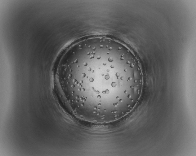 X0000112731171200908271422