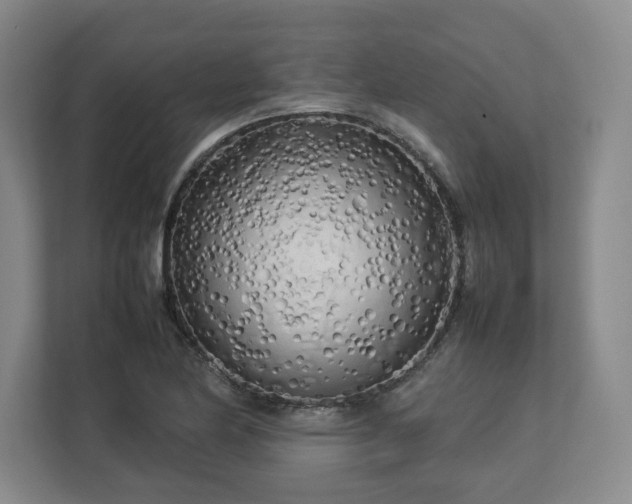 X0000112731174200908271422