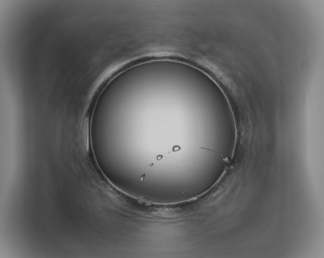 X0000112731175200908271422