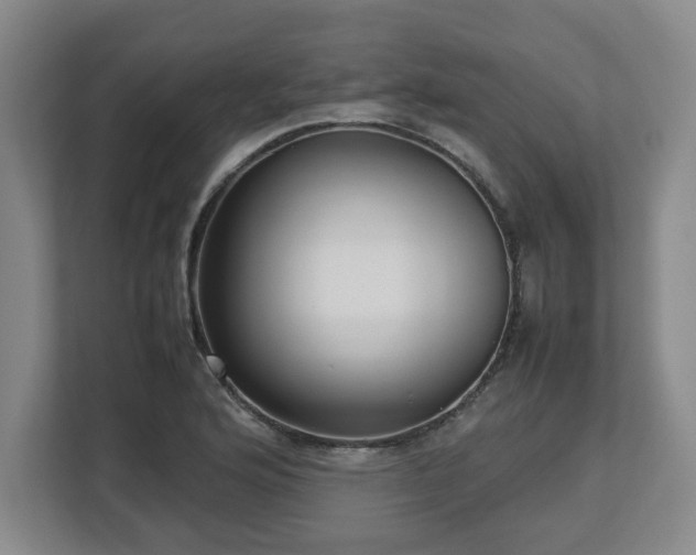 X0000112731176200908271422