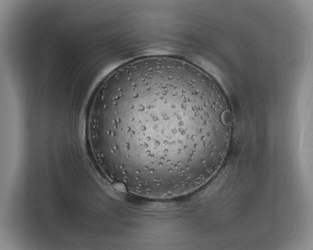 X0000112731179200908271422