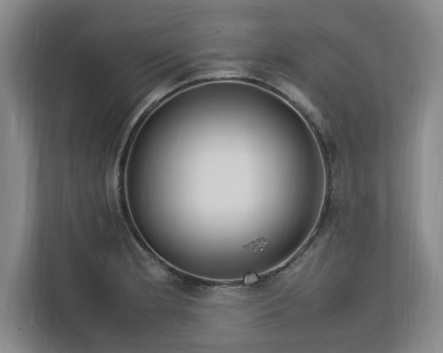 X0000112731181200908271422