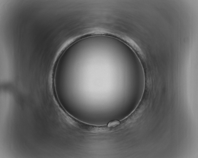 X0000112731183200908271422