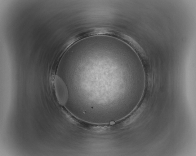 X0000112731185200908271422