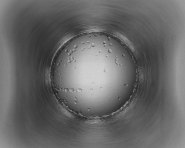 X0000112731186200908271422