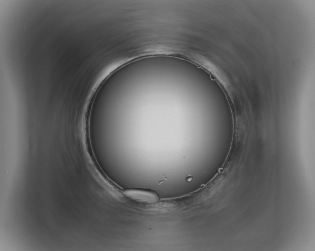 X0000112731187200908271422