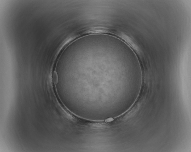 X0000112731189200908271422