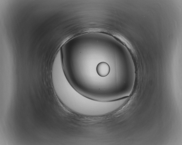 X0000112731193200908271422