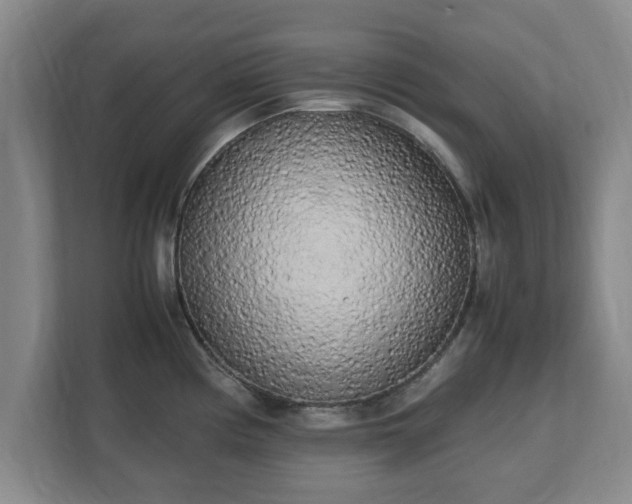 X0000112731194200908271422