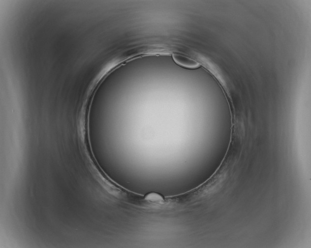 X0000112731195200908271422