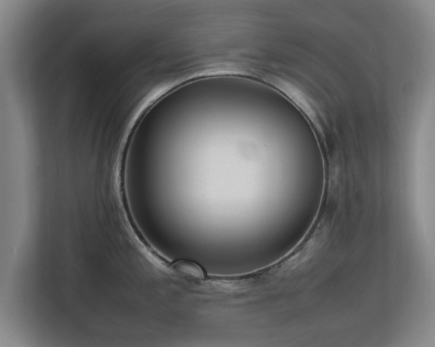 X0000112731197200908271422