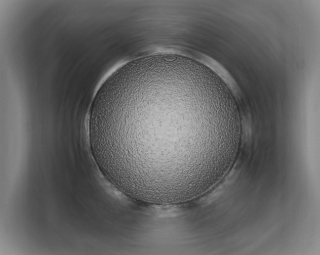 X0000112731198200908271422