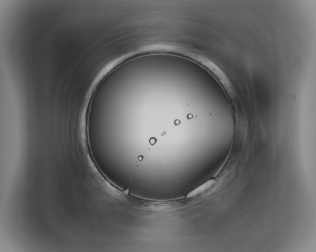 X0000112731199200908271422