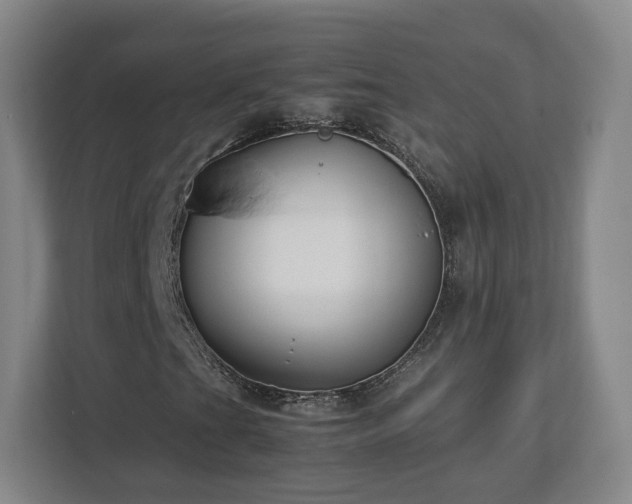 X0000112731201200908271421