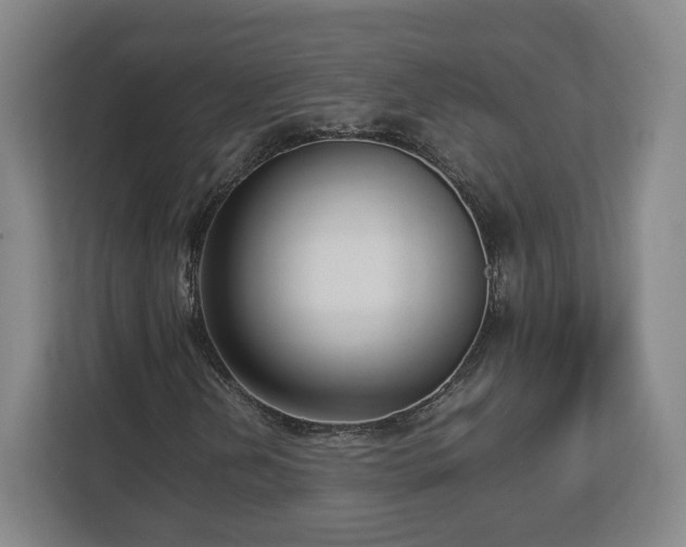 X0000112731202200908271421