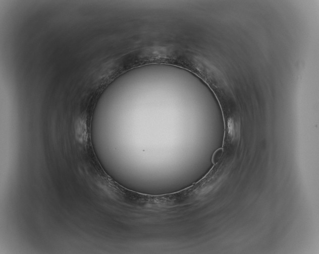 X0000112731203200908271421