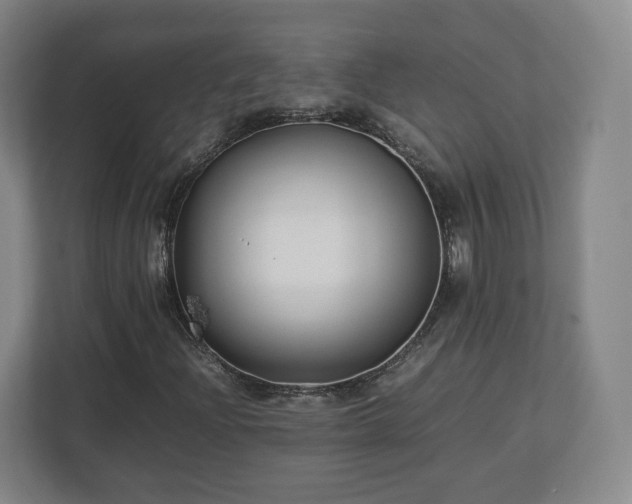 X0000112731204200908271421