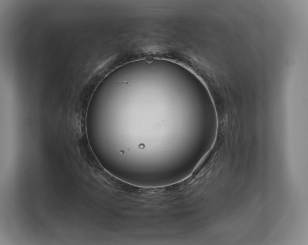 X0000112731205200908271421