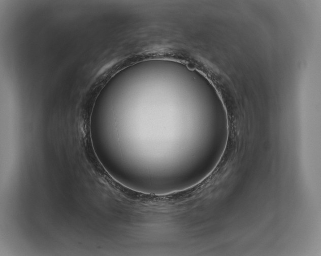 X0000112731206200908271421