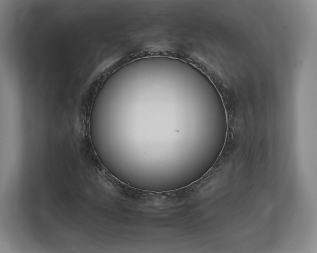 X0000112731207200908271421