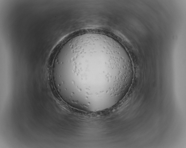 X0000112731208200908271421