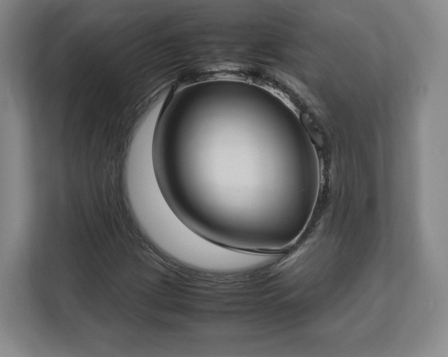 X0000112731209200908271421