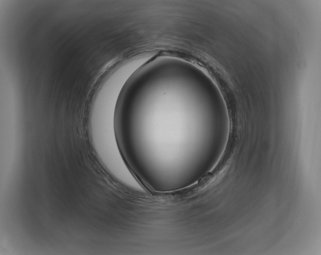 X0000112731210200908271421