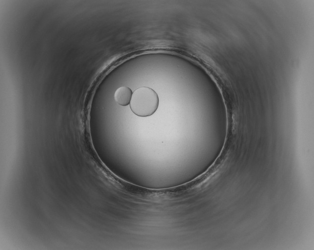 X0000112731212200908271421