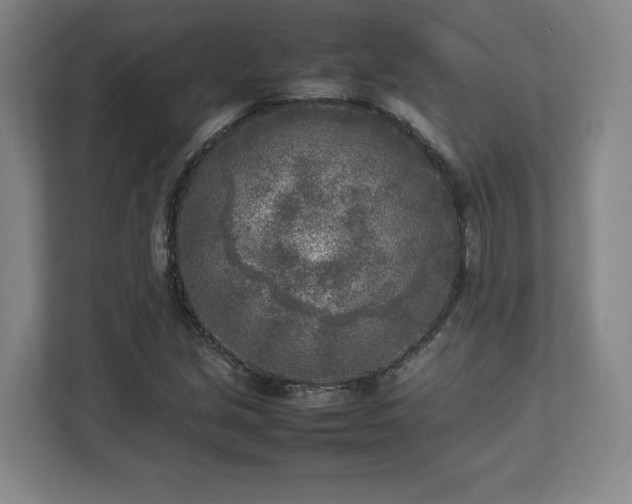 X0000112731213200908271421