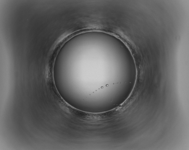 X0000112731215200908271421