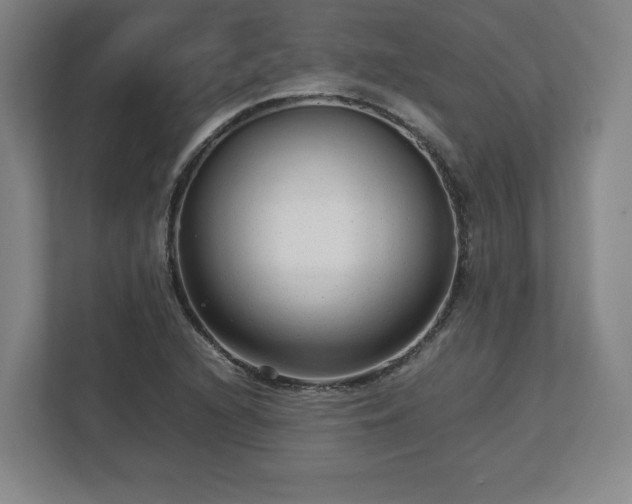 X0000112731216200908271421