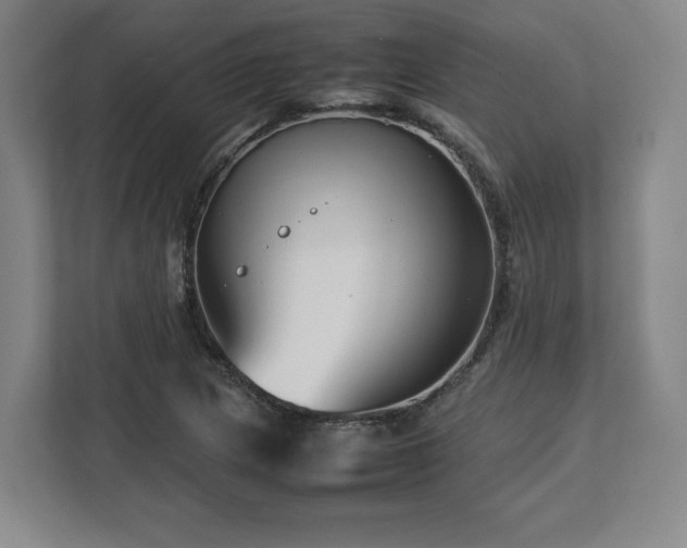 X0000112731217200908271421