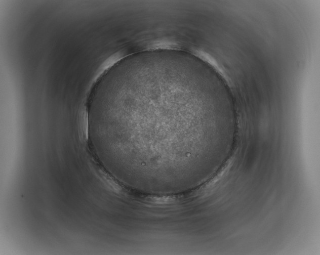 X0000112731219200908271421