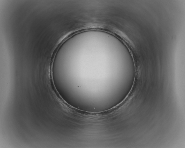 X0000112731220200908271421