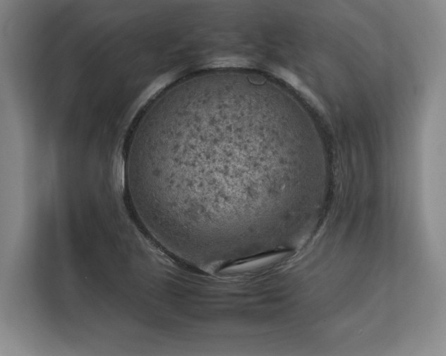 X0000112731221200908271421